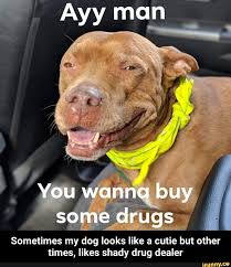 Pin On Funny Eminem Memes