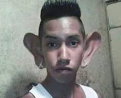 Jesus Borjas (jesusborjasdegovea)