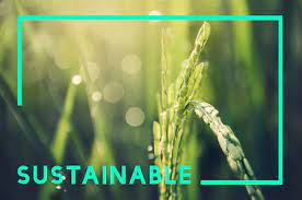 Sustainability Stock Photos and Images - 123RF