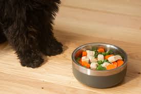 Establishing a puppy feeding schedule will benefit you and your new pet for months and years to come. Reasons Why Your Puppy Won T Eat And How To Stop It
