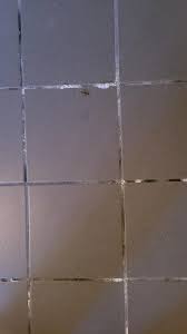 Image result for site:byggahus.se källargolv