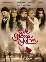 Erdal Besikcioglu Movies Age Biography