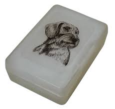 Image result for jezevčík drsnosrstý