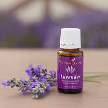 Lavendelöl innerlich eingenommen wirkt gegen angst. Tolle Ideen Fur Young Living Lavendel Atherisches Ol Lavandula Angustifolia Es Ist Erstaunlich Wie Vielseitig Die Anwedungsmoglichkeiten Fur Lavendel Sind Es Ist Ein Ol Das In Keiner Handtasche Brieftasche Oder Reiseapotheke Fehlen