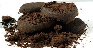 Can coffee grounds be used for fertilizer. Seoul Launches Trial Recycling Program For Coffee Grounds Fertilizer