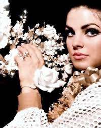 This is Elvis's Precision Tool Company ID. Precision Tool in Memphis, TN  made artillery shells for the federal government. Elvis and his first  cousin, Gene Smith were hired by the company at