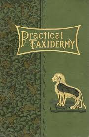 The Art Of Book Covers 1820 1914 The Public Domain Review In 2020 Book Art Vintage Book Covers Book Cover