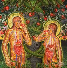 Book 1 in the forgotten book of eden series by unknown author. Adam And Eve Alex Grey