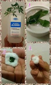 Home Remedy For An Ear Infection 1 Take A Piece Of Ruda Rue And Soak It For About Half A Minute To A Minute In Ru Cold Remedies Ear Wax Candle Home