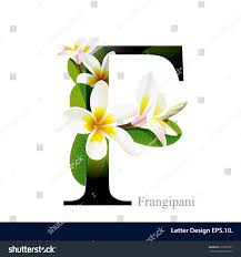 The easiest way to lookup drug information, identify pills, check interactions and set up your own person. Buchstabe F Vektor Alphabet Mit Frangipani Blume Abc Konzepttyp Stock Vektorgrafik Lizenzfrei 277895051