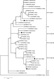 We did not find results for: The Prevalence And Genetic Characteristics Of Porcine Circovirus Type 2 And 3 In Korea Bmc Veterinary Research Full Text