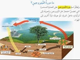علوم خامس الفصل الأول الدورات في الأنظمة البيئية