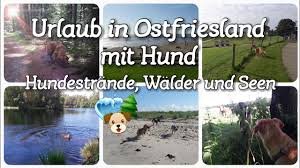 We did not find results for: Urlaub Mit Hund In Ostfriesland Nordsee Geheimstrand Wanderwege Youtube