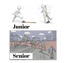 A Difference Between Junior And Senior Developer Programmer Softwareenegineer Funny Memes Memes Funny
