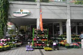 Blumen risse i über 145. Oranje Blumen Frische Holland Blumen Fur Den Rhein Neckar Kreis