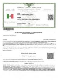 ¿dónde puedo conseguir mi curp? Curp Document The Cozumel Sun News