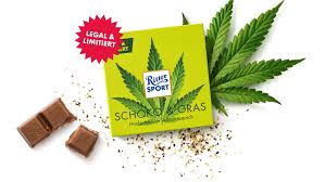 So gefährlich sei es gar nicht, sondern im gegenteil sehr natürlich und mit alkohol und zigaretten wären viel schädlichere produkte in deutschland. Cannabis Legalisierung Handel Entdeckt Hanf