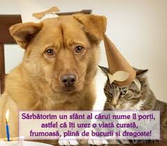 Mesaje haioase de la mulți ani pentru prieteni Poze Blog Urari De La Multi Ani Haioase Imagini