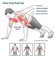 Bodyweight Tricep Exercises And Bodyweight Bicep Exercises How To Get Bigger Arms At Home The Health Science Journal Evde Egzersiz Vucut Gelistirme Egzersiz