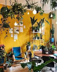 Pin On Colorful Homes