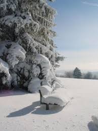 Winterwandern Auf Birkendorfs Hohen Hochschwarzwald Tourismus Gmbh Hochschwarzwald Schwarzwald Tourismus