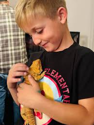 4x2x2 tank stand recommendations