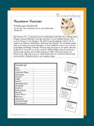 Sachtext tiere klasse 6 / klassenarbeit sachtexte klasse 6 | unterrichtsmaterial. Haustiere