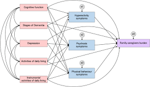 Image result for Behavior Problems in Dementia