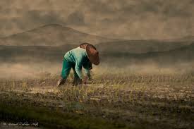Risaie Sudip Das S Blog