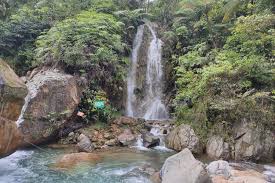 Panduan Wisata Ke Bogor Saat Libur Akhir Tahun Wajib Rapid Test Antigen Halaman All Kompas Com
