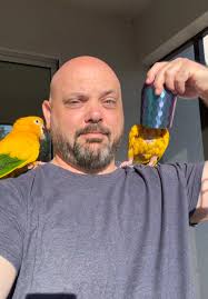 Zeb Ernest Golden Cup Conure