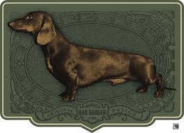 Image result for jezevčík hladkosrstý