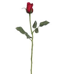 22 5 Single Princess Mary Rose Bud Spray With Waterproof Stem Red Jo Ann Rose Bud Tattoo Roses Drawing Rose Buds