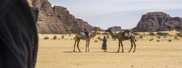 Das land ist touristisch unerschlossen. Tschad P Vom Legendaren Tschadsee Ins Herz Der Sahara P