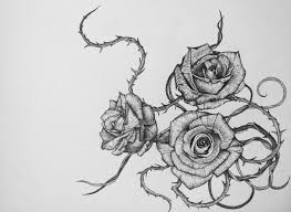 As curator of the historic cranford rose garden at the brooklyn botanic garden, he oversees more than 5,000 rose bushes, some of wh Thorny Roses Illustration By Me Tatoo Rose Colorful Flowers Roses Drawing