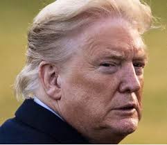 Friday's cover of the New York Post calls out Joe Biden for his lack of  campaign events, comparing him to Where's Waldo. The Biden campaign says he  is preparing for the upcoming