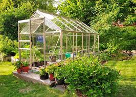 Given the right care and effort, your simple vegetable garden can get you through the hassle of paying for a hefty amount of grocery expenses. Best Greenhouse For Your Budget Greenhouse Hunt