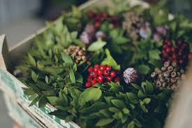 Decorate your home for the holidays with these festive flowers, house plants and shrubs. 12 Christmas Plants That Will Make Your Home Feel More Festive