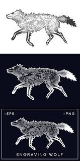 Skeleton Of A Dead Wolf Engraving Skeleton Drawings Zootopia Concept Art Wolf Art