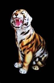 Reddish body covered with narrow black transverse stripes. Black Boris Brynas Tigers
