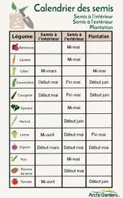 les erreurs de jardinage arctic gardens home vegetable garden potager garden vegetable garden design