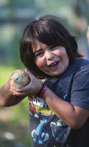 Sierra Harvest Annual Report 2015-16