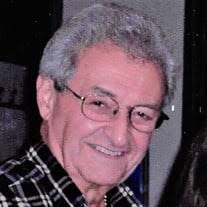 Joel Allan Lewin Obituary (2022)