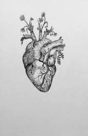 Anatomical heart tattoos don't have to be horrific and bloody. Pin By An Gie On Tat Human Heart Tattoo Anatomical Heart Tattoo Heart Tattoo