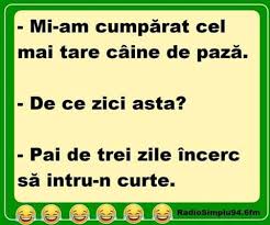 Mai cunoști alte bancuri seci? Bancuri Poze Haiose Home Facebook