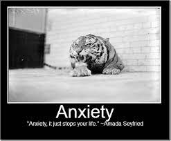Quotes About Anxiety Funny 26 Quotes