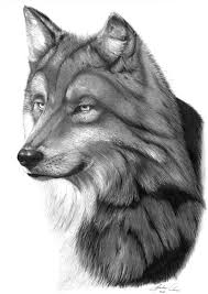 Sometimes video tutorials just work better. Draw Hand Drawing Pencil Portrait Of Your Favorite Animal By Candreas84 Fiverr