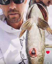 5 Qs with Cobb and KVD, Top Lay Lake baits, Post-spawn targets!