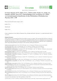 Image result for Phyllanthus manicaensis