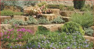 43 Im Trend Steingarten Am Hang Design Ideen Steingarten Steingarten Ideen Garten